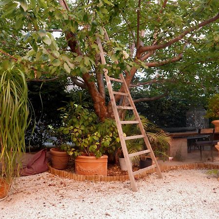 Jardin Vieux Port Panier Hotel Marseille Exterior photo